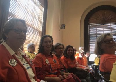 Gun Safety Supporters at State House Hearings